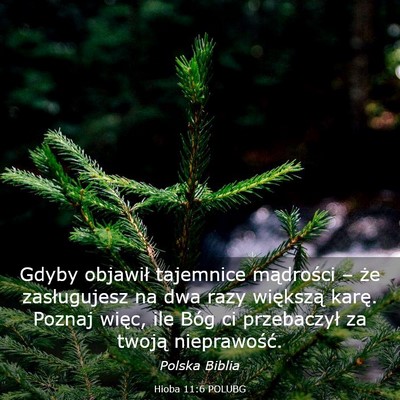 Picture 03 - Hioba 11:6 POLUBG - Gdyby objawił tajemnice mądrości – że - Bible Verse Picture