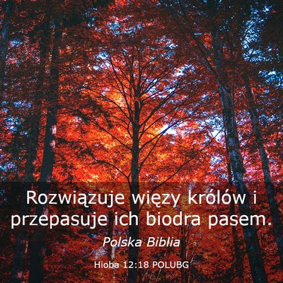 Picture 03 - Hioba 12:18 POLUBG - Rozwiązuje więzy królów i przepasuje ich - Bible Verse Picture