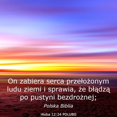 Picture 03 - Hioba 12:24 POLUBG - On zabiera serca przełożonym ludu ziemi i - Bible Verse Picture