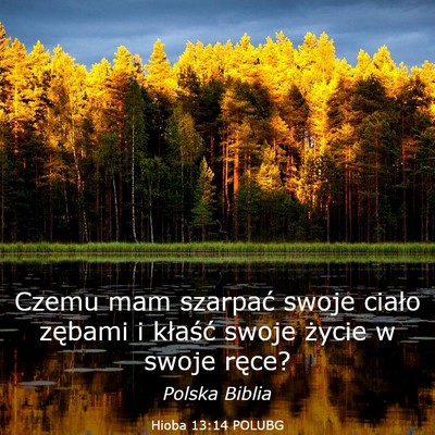 Picture 03 - Hioba 13:14 POLUBG - Czemu mam szarpać swoje ciało zębami i - Bible Verse Picture