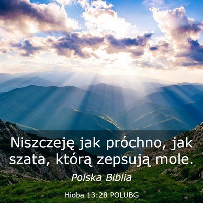 Picture 03 - Hioba 13:28 POLUBG - Niszczeję jak próchno, jak szata, którą - Bible Verse Picture