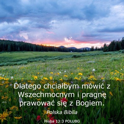 Picture 03 - Hioba 13:3 POLUBG - Dlatego chciałbym mówić z Wszechmocnym i - Bible Verse Picture