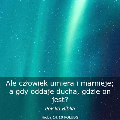 Picture 03 - Hioba 14:10 POLUBG - Ale człowiek umiera i marnieje; a gdy oddaje - Bible Verse Picture