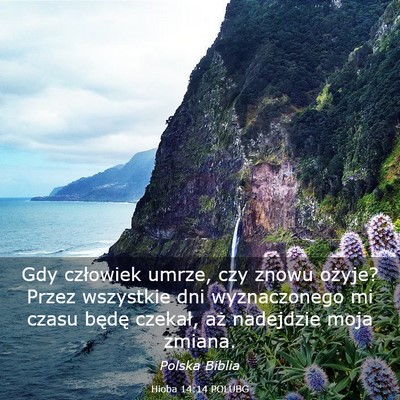 Picture 03 - Hioba 14:14 POLUBG - Gdy człowiek umrze, czy znowu ożyje? Przez - Bible Verse Picture
