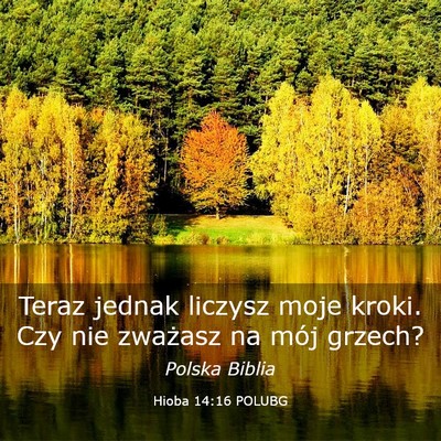 Picture 03 - Hioba 14:16 POLUBG - Teraz jednak liczysz moje kroki. Czy nie zważasz - Bible Verse Picture