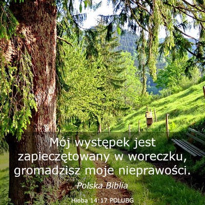 Picture 03 - Hioba 14:17 POLUBG - Mój występek jest zapieczętowany w woreczku, - Bible Verse Picture
