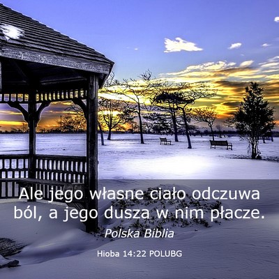 Picture 03 - Hioba 14:22 POLUBG - Ale jego własne ciało odczuwa ból, a jego - Bible Verse Picture