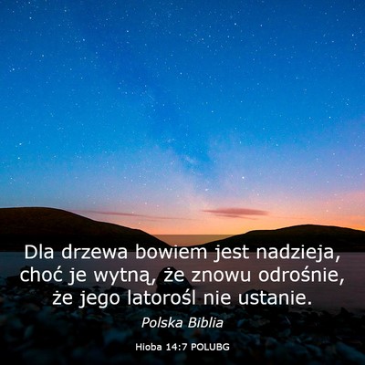 Picture 03 - Hioba 14:7 POLUBG - Dla drzewa bowiem jest nadzieja, choć je wytną, - Bible Verse Picture