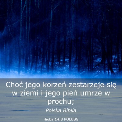 Picture 03 - Hioba 14:8 POLUBG - Choć jego korzeń zestarzeje się w ziemi i jego - Bible Verse Picture