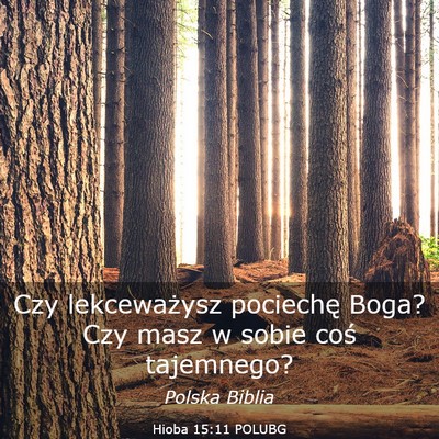 Picture 03 - Hioba 15:11 POLUBG - Czy lekceważysz pociechę Boga? Czy masz w sobie - Bible Verse Picture
