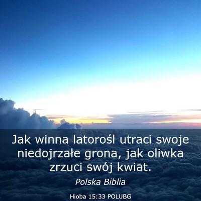 Picture 03 - Hioba 15:33 POLUBG - Jak winna latorośl utraci swoje niedojrzałe - Bible Verse Picture