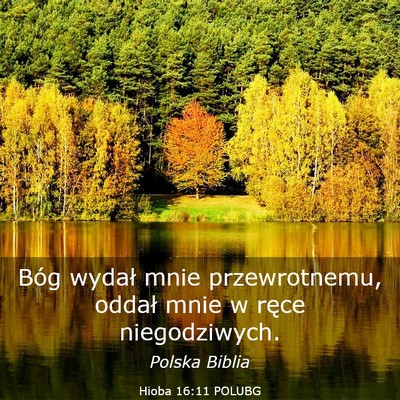 Picture 03 - Hioba 16:11 POLUBG - Bóg wydał mnie przewrotnemu, oddał mnie w - Bible Verse Picture