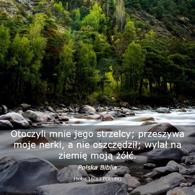 Picture 03 - Hioba 16:13 POLUBG - Otoczyli mnie jego strzelcy; przeszywa moje - Bible Verse Picture