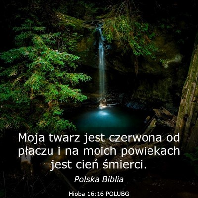 Picture 03 - Hioba 16:16 POLUBG - Moja twarz jest czerwona od płaczu i na moich - Bible Verse Picture