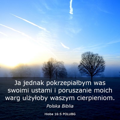 Picture 03 - Hioba 16:5 POLUBG - Ja jednak pokrzepiałbym was swoimi ustami i - Bible Verse Picture