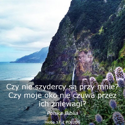 Picture 03 - Hioba 17:2 POLUBG - Czy nie szydercy są przy mnie? Czy moje oko nie - Bible Verse Picture
