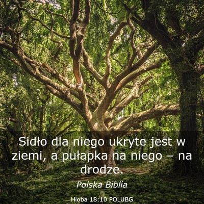 Picture 03 - Hioba 18:10 POLUBG - Sidło dla niego ukryte jest w ziemi, a pułapka - Bible Verse Picture