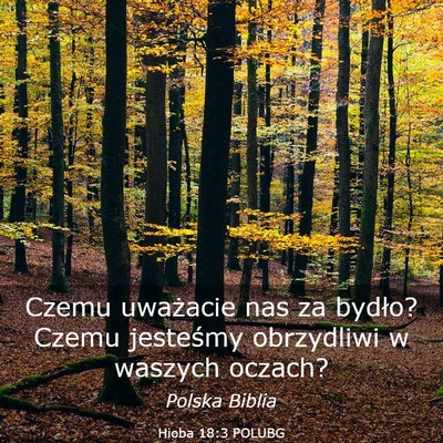 Picture 03 - Hioba 18:3 POLUBG - Czemu uważacie nas za bydło? Czemu jesteśmy - Bible Verse Picture