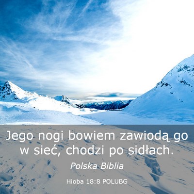 Picture 03 - Hioba 18:8 POLUBG - Jego nogi bowiem zawiodą go w sieć, chodzi po - Bible Verse Picture