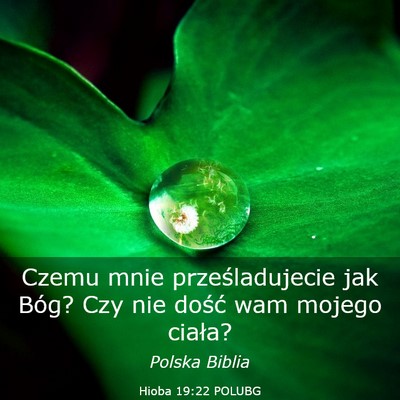Picture 03 - Hioba 19:22 POLUBG - Czemu mnie prześladujecie jak Bóg? Czy nie - Bible Verse Picture