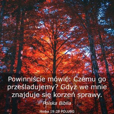 Picture 03 - Hioba 19:28 POLUBG - Powinniście mówić: Czemu go prześladujemy? - Bible Verse Picture