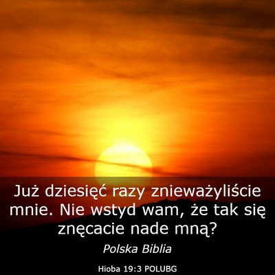 Picture 03 - Hioba 19:3 POLUBG - Już dziesięć razy znieważyliście mnie. Nie - Bible Verse Picture
