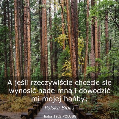 Picture 03 - Hioba 19:5 POLUBG - A jeśli rzeczywiście chcecie się wynosić nade - Bible Verse Picture