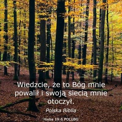 Picture 03 - Hioba 19:6 POLUBG - Wiedzcie, że to Bóg mnie powalił i swoją - Bible Verse Picture