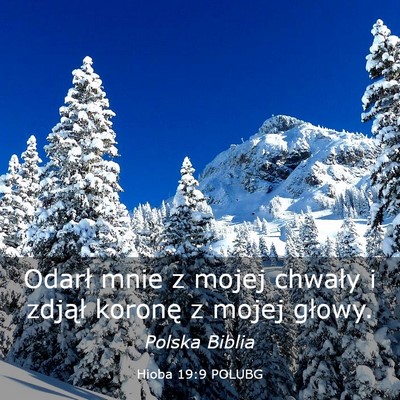 Picture 03 - Hioba 19:9 POLUBG - Odarł mnie z mojej chwały i zdjął koronę z - Bible Verse Picture