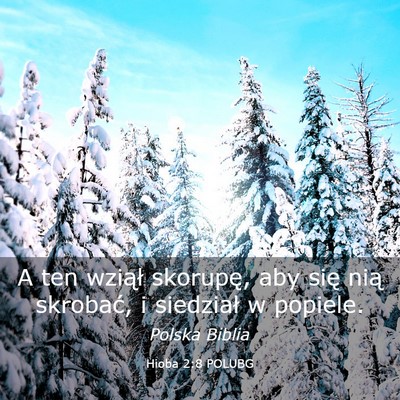 Picture 03 - Hioba 2:8 POLUBG - A ten wziął skorupę, aby się nią skrobać, i - Bible Verse Picture