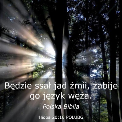 Picture 03 - Hioba 20:16 POLUBG - Będzie ssał jad żmii, zabije go język - Bible Verse Picture