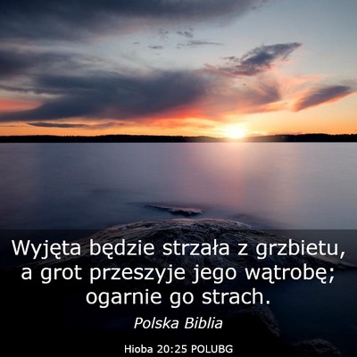 Picture 03 - Hioba 20:25 POLUBG - Wyjęta będzie strzała z grzbietu, a grot - Bible Verse Picture