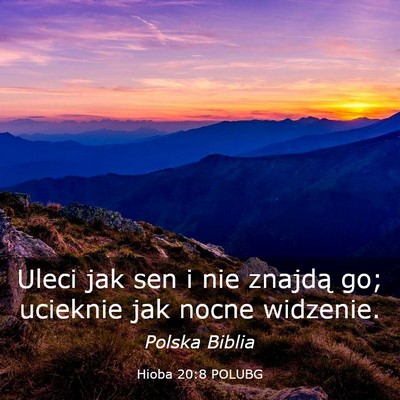 Picture 03 - Hioba 20:8 POLUBG - Uleci jak sen i nie znajdą go; ucieknie jak - Bible Verse Picture
