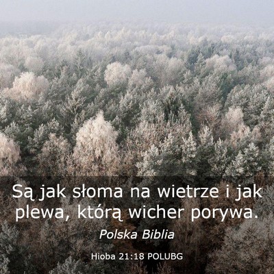 Picture 03 - Hioba 21:18 POLUBG - Są jak słoma na wietrze i jak plewa, którą - Bible Verse Picture