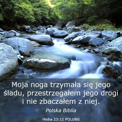 Picture 03 - Hioba 23:11 POLUBG - Moja noga trzymała się jego śladu, - Bible Verse Picture