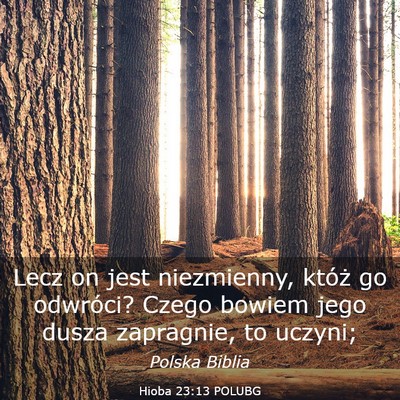 Picture 03 - Hioba 23:13 POLUBG - Lecz on jest niezmienny, któż go odwróci? - Bible Verse Picture