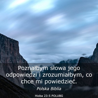 Picture 03 - Hioba 23:5 POLUBG - Poznałbym słowa jego odpowiedzi i - Bible Verse Picture