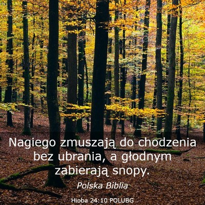 Picture 03 - Hioba 24:10 POLUBG - Nagiego zmuszają do chodzenia bez ubrania, a - Bible Verse Picture