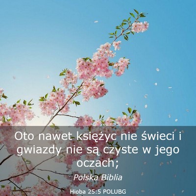 Picture 03 - Hioba 25:5 POLUBG - Oto nawet księżyc nie świeci i gwiazdy nie są - Bible Verse Picture