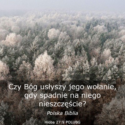 Picture 03 - Hioba 27:9 POLUBG - Czy Bóg usłyszy jego wołanie, gdy spadnie na - Bible Verse Picture