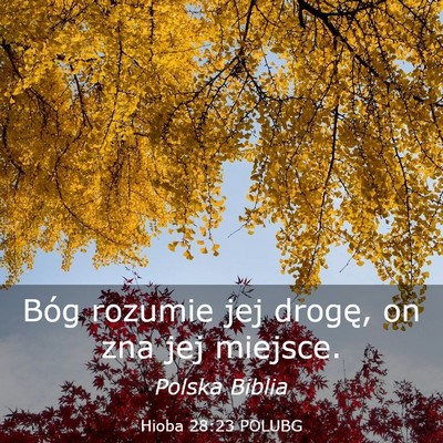 Picture 03 - Hioba 28:23 POLUBG - Bóg rozumie jej drogę, on zna jej - Bible Verse Picture