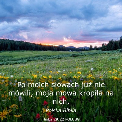 Picture 03 - Hioba 29:22 POLUBG - Po moich słowach już nie mówili, moja mowa - Bible Verse Picture
