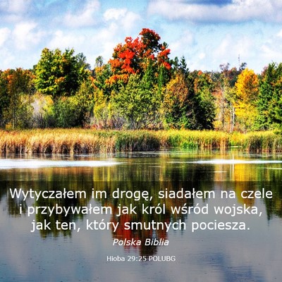 Picture 03 - Hioba 29:25 POLUBG - Wytyczałem im drogę, siadałem na czele i - Bible Verse Picture