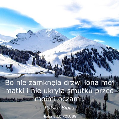 Picture 03 - Hioba 3:10 POLUBG - Bo nie zamknęła drzwi łona mej matki i nie - Bible Verse Picture