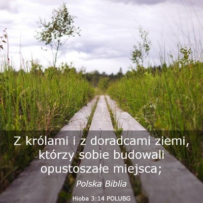 Picture 03 - Hioba 3:14 POLUBG - Z królami i z doradcami ziemi, którzy sobie - Bible Verse Picture