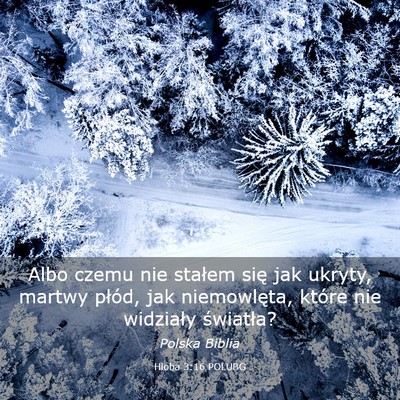 Picture 03 - Hioba 3:16 POLUBG - Albo czemu nie stałem się jak ukryty, martwy - Bible Verse Picture