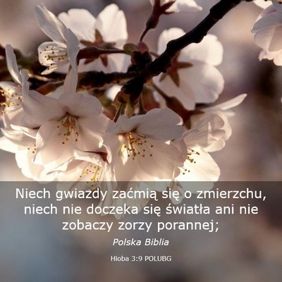 Picture 03 - Hioba 3:9 POLUBG - Niech gwiazdy zaćmią się o zmierzchu, niech - Bible Verse Picture