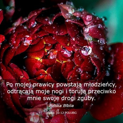 Picture 03 - Hioba 30:12 POLUBG - Po mojej prawicy powstają młodzieńcy, - Bible Verse Picture