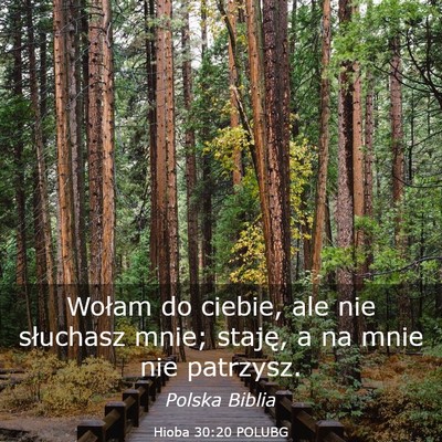 Picture 03 - Hioba 30:20 POLUBG - Wołam do ciebie, ale nie słuchasz mnie; staję, - Bible Verse Picture