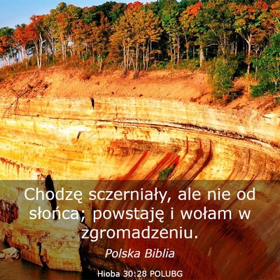 Picture 03 - Hioba 30:28 POLUBG - Chodzę sczerniały, ale nie od słońca; - Bible Verse Picture